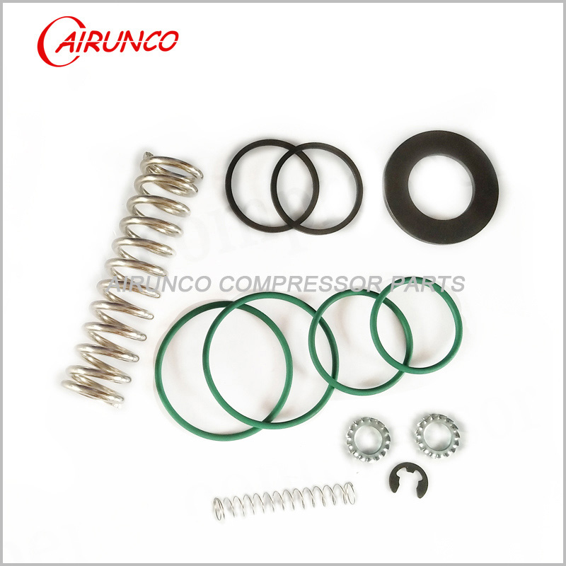 Air compressor Minimum pressure valve kit,atlas copco replacement parts AC2901000600, MPV kit equivalent parts
