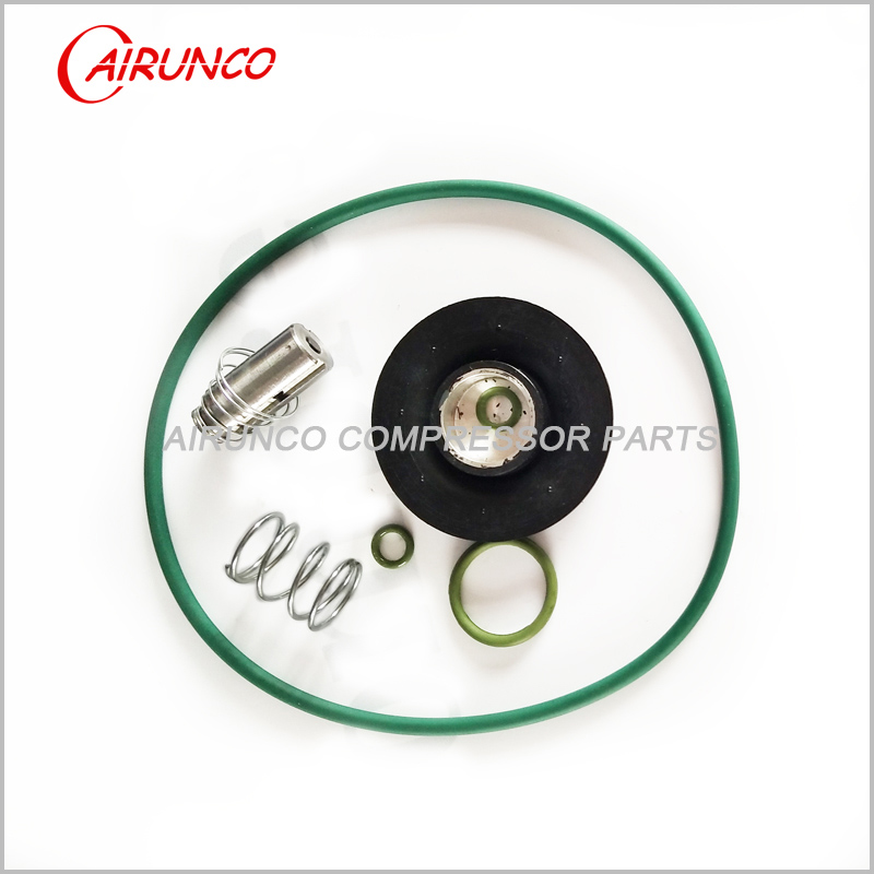 DRYER ROTOR. EXCHANGE KIT AC2906063300 air compressor replacement parts