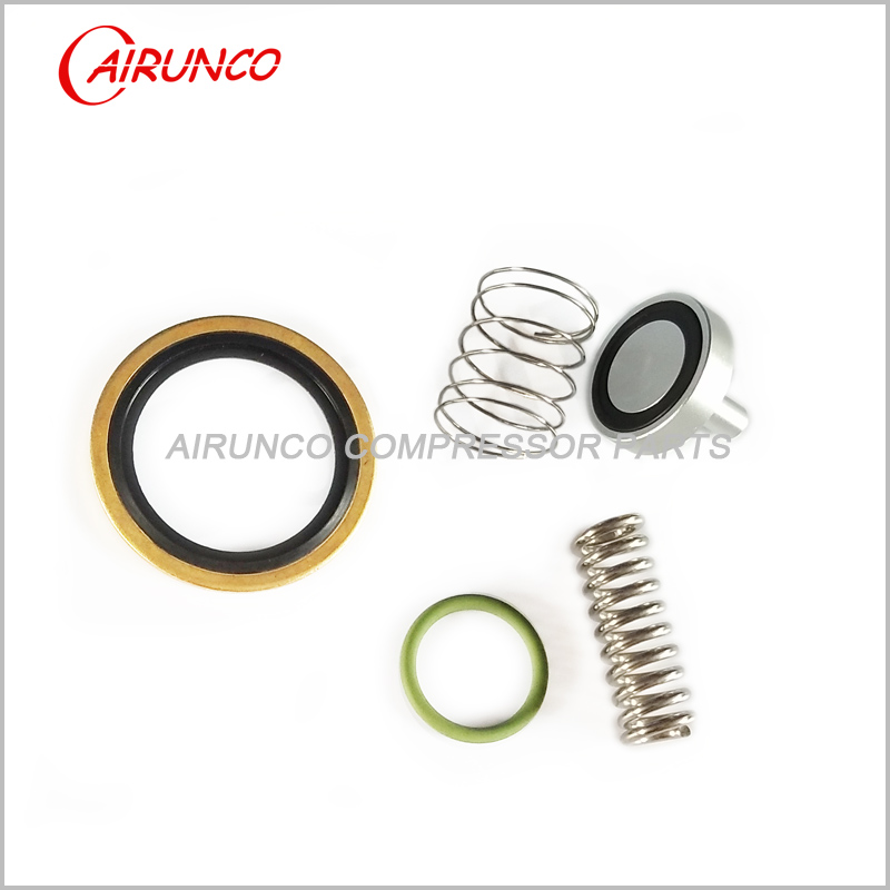 2901141100 MPV kit atlas copco air compressor parts