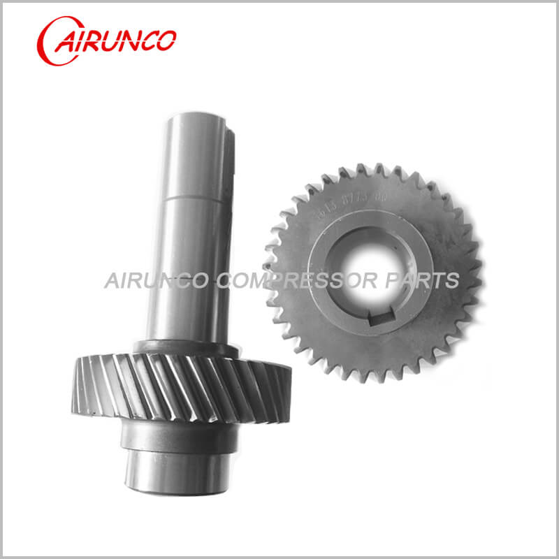 1613877300-1202818400 atlas copco gear of air compressor parts