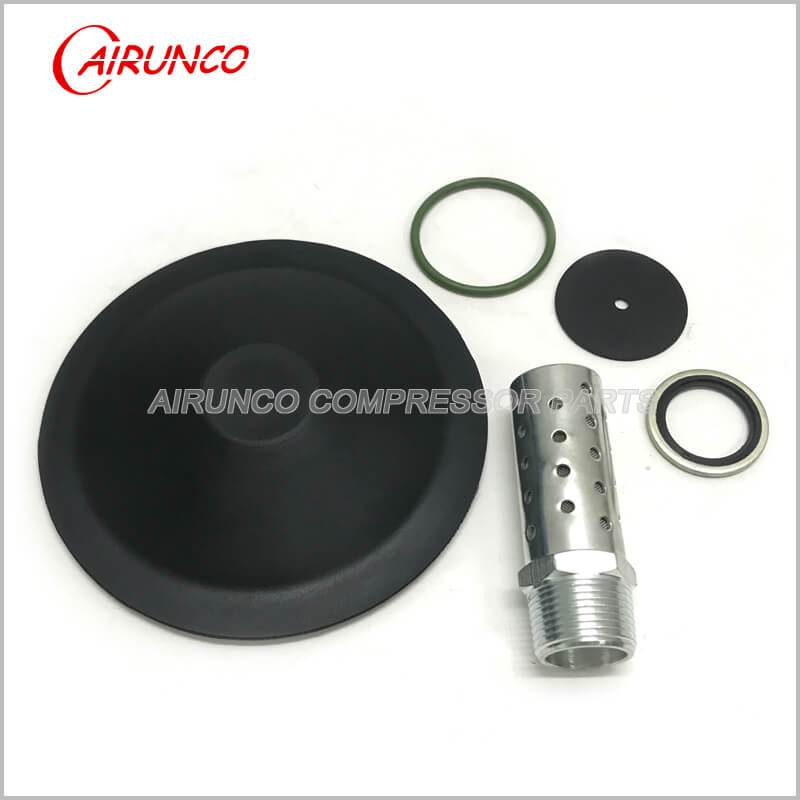 air compressed diaphgram AC 2901110100 new replacement