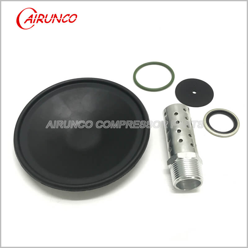 air compressed diaphgram AC 2901110100 new replacement