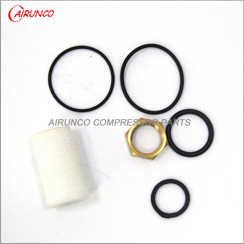 Air Compressor Control Line Filter Element Kit 02250112-031 repair kits service kits