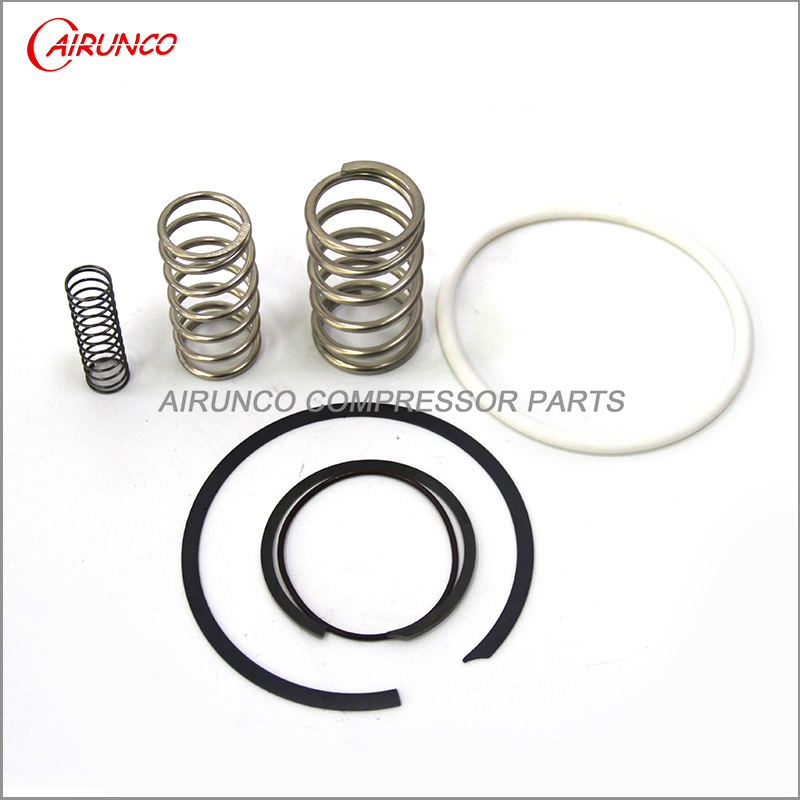 inlet seal kit 02250166-220 repair valve kit compressor spare parts