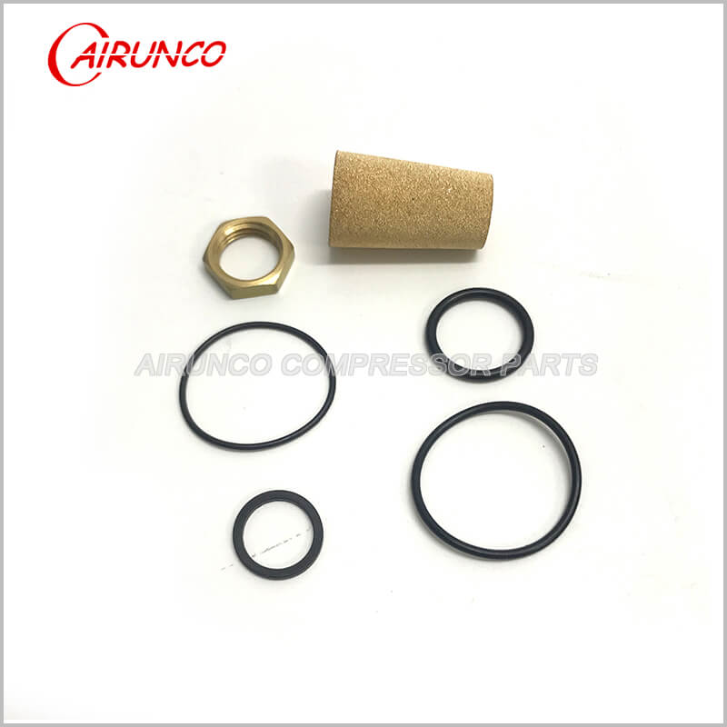 02250112-031 Line Filter Kit for SL Air Compressor Control Pipeline Part Direct Replace