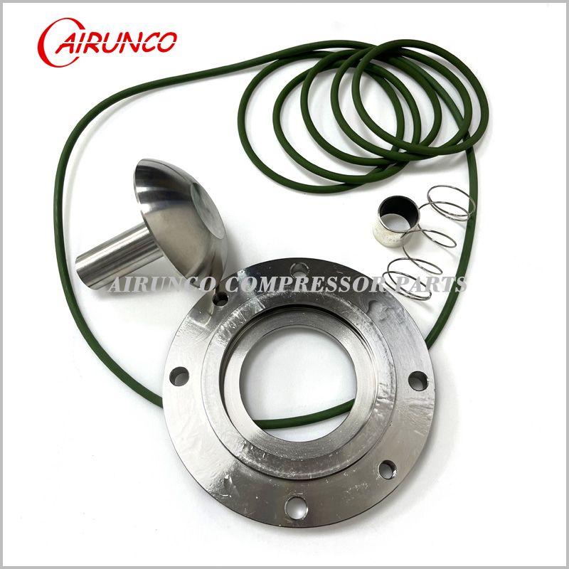 Check valve kit 2906039000 oil stop valve kit air compressor parts