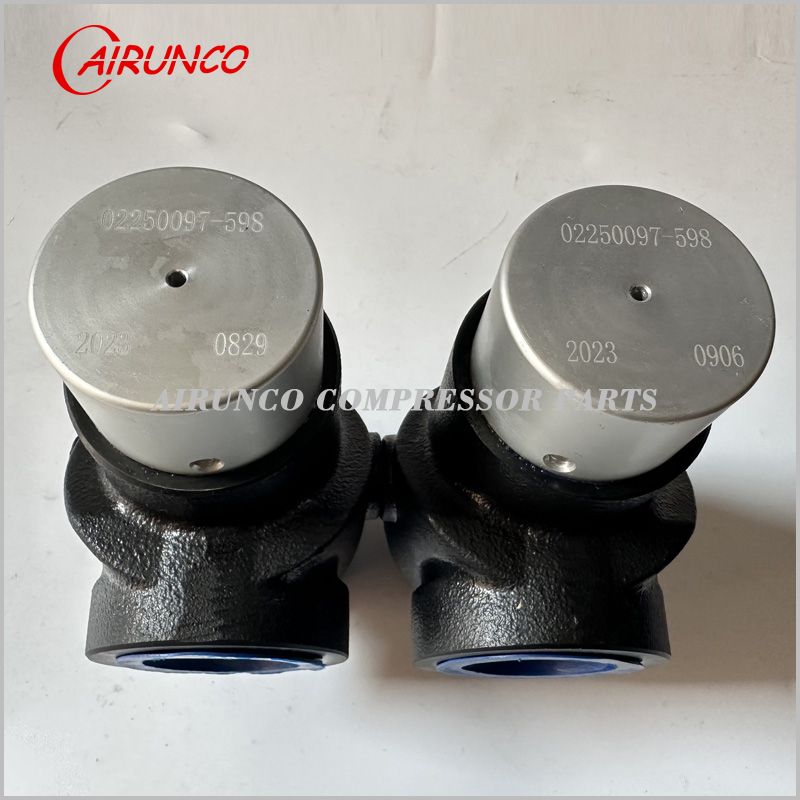 compressor MPV valve 02250097-598 air compressor valves