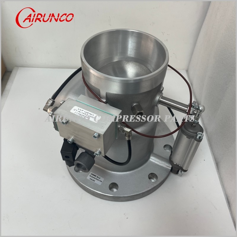 IR Intake Valve 47828483,47703545001 